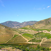 2022 Alianca Reserva, DOC Bairrada