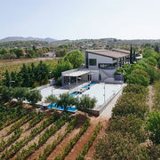 2022 Domaine Papagiannakos Erythros