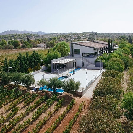 2022 Domaine Papagiannakos Erythros